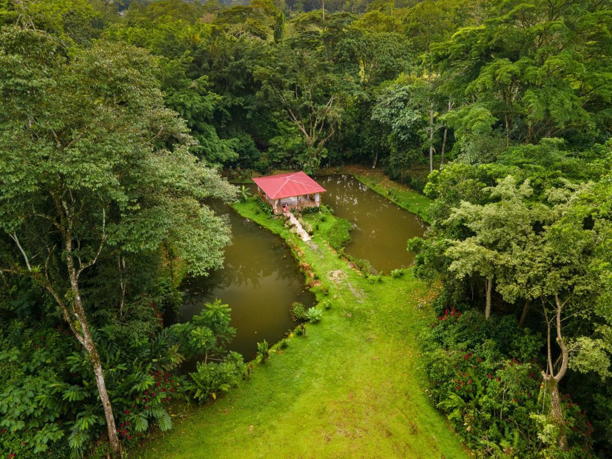 Ara Ambigua Lodge Sarapiqui Bagian luar foto