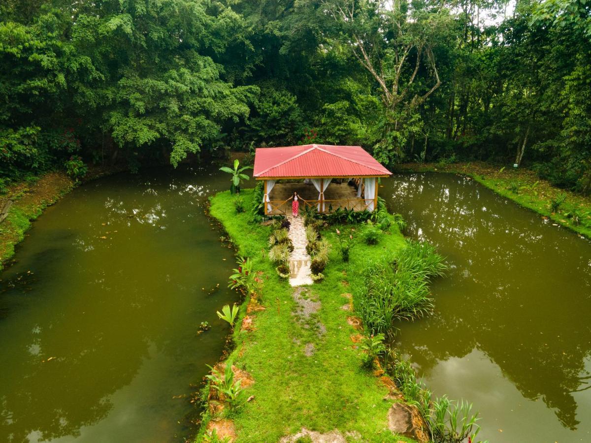 Ara Ambigua Lodge Sarapiqui Bagian luar foto