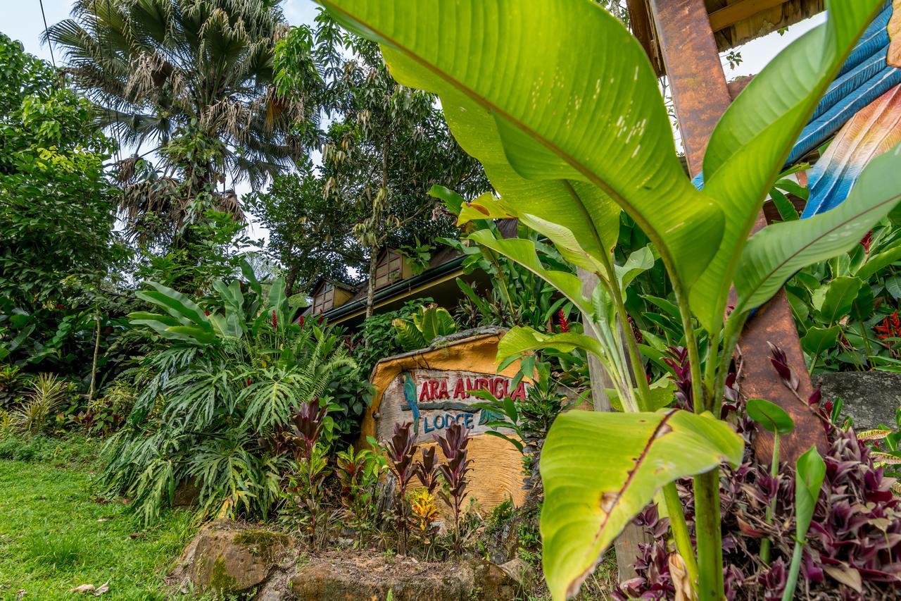 Ara Ambigua Lodge Sarapiqui Bagian luar foto